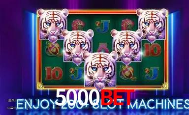 APP oficial da 5000BET para mobile